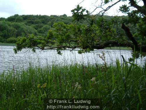 Lough Gill, County Sligo